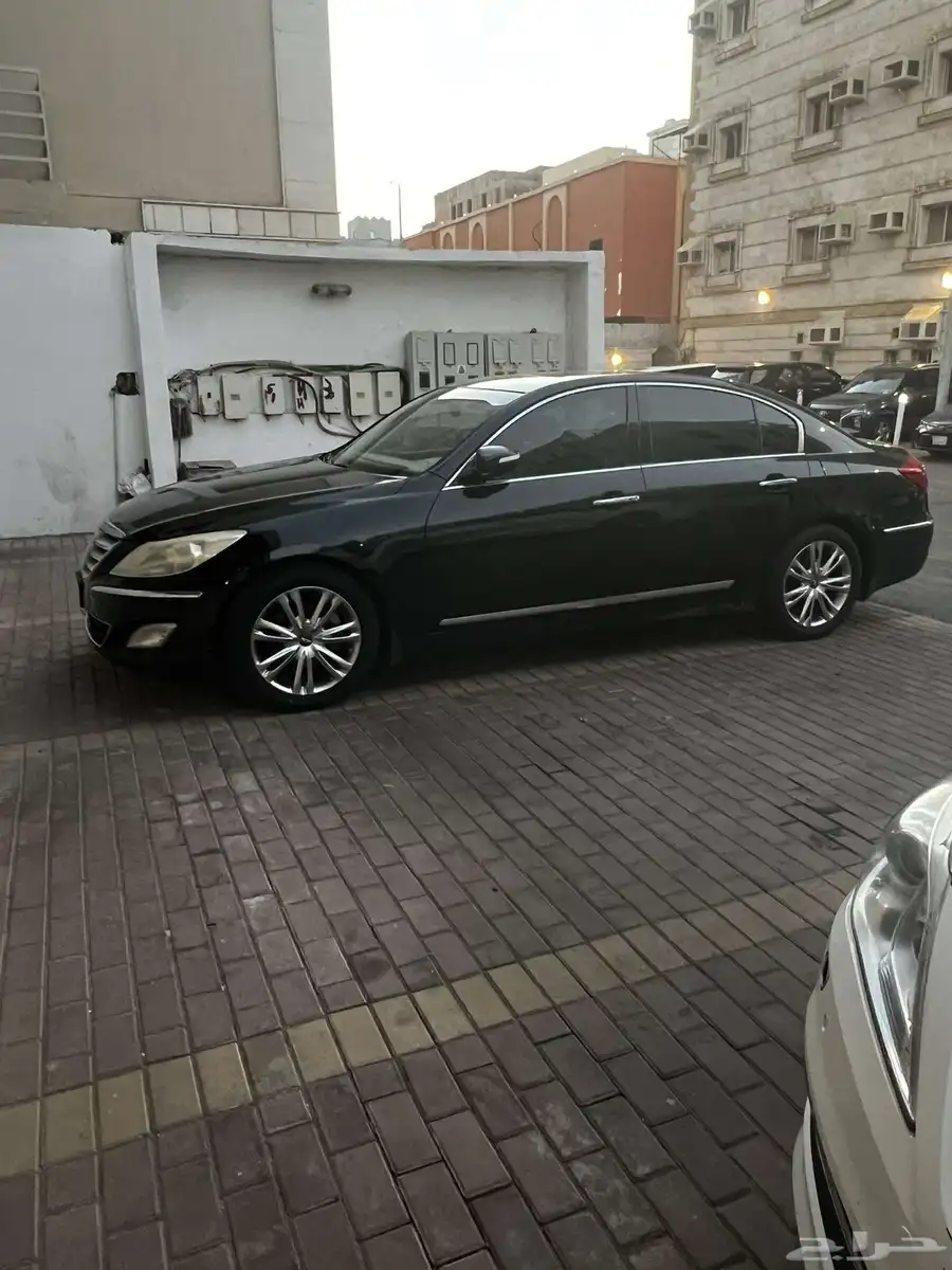 جنسس G80 2014 2