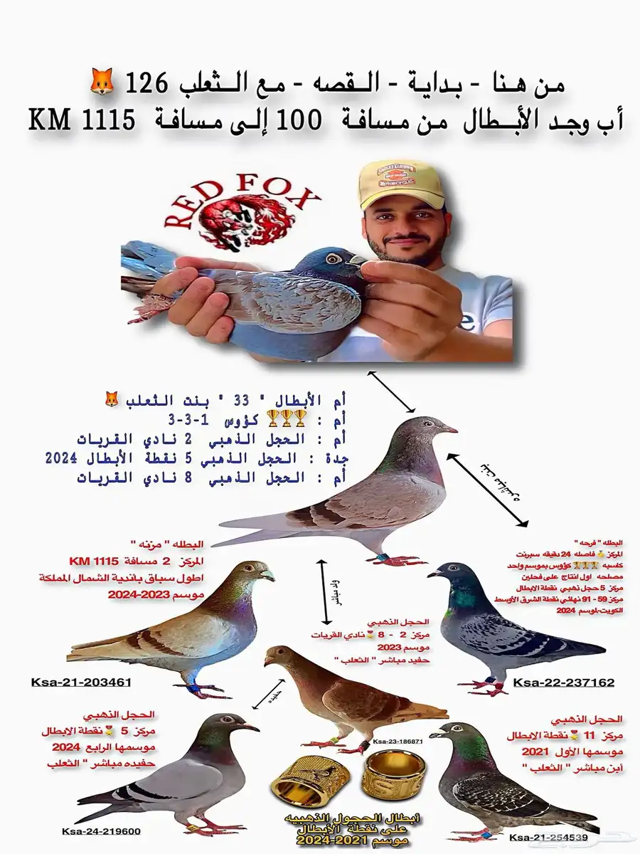حمام زاجل جانسن السرعه 0