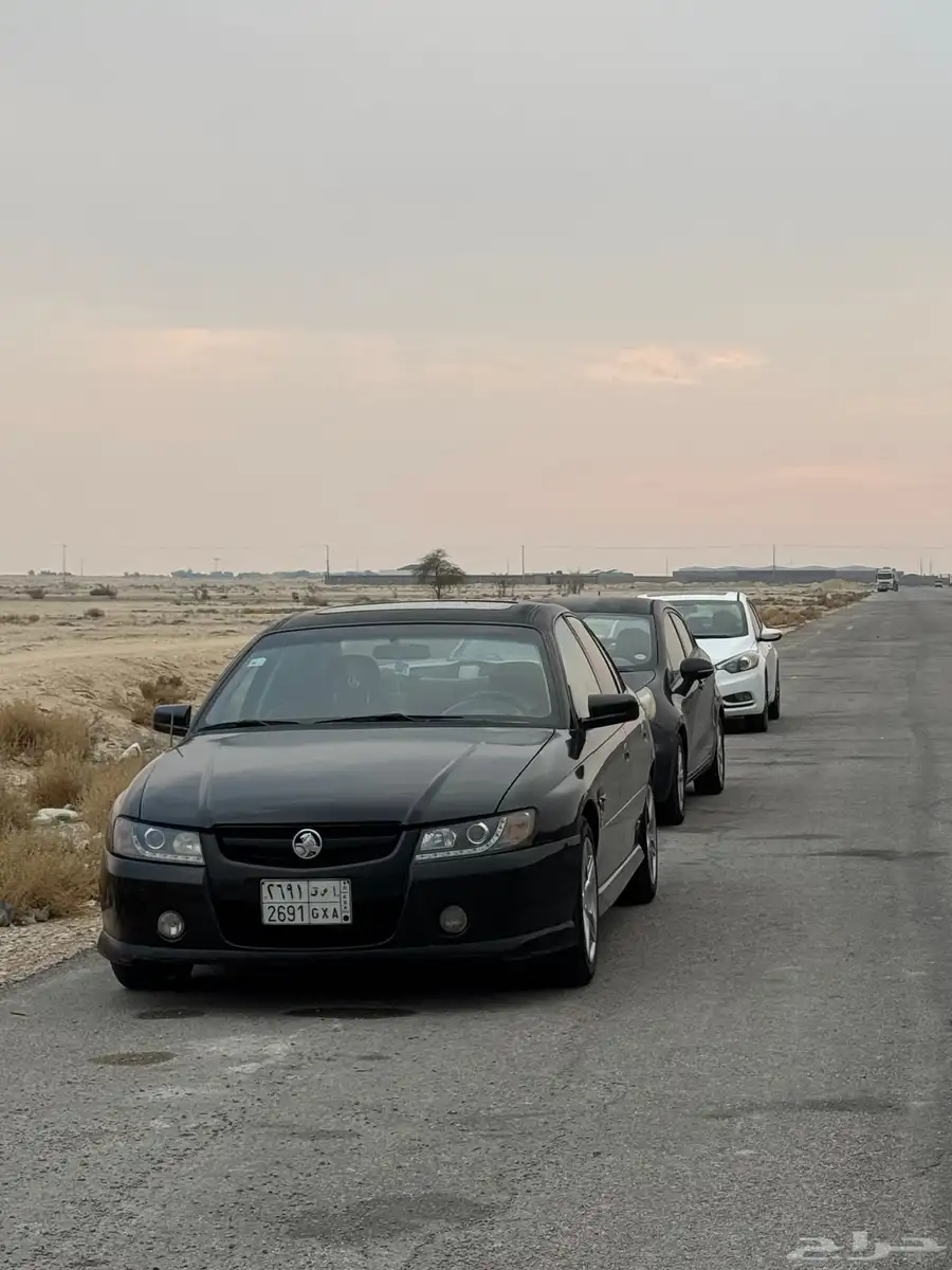 لومينا 2006 SS 11