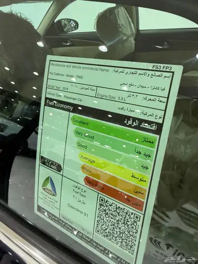 كادينزا 2018 13