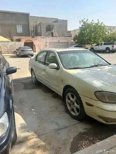 مكسيما فل كامل 2000 قير عادي 2