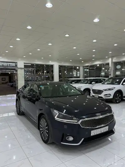 كادينزا 2018 1
