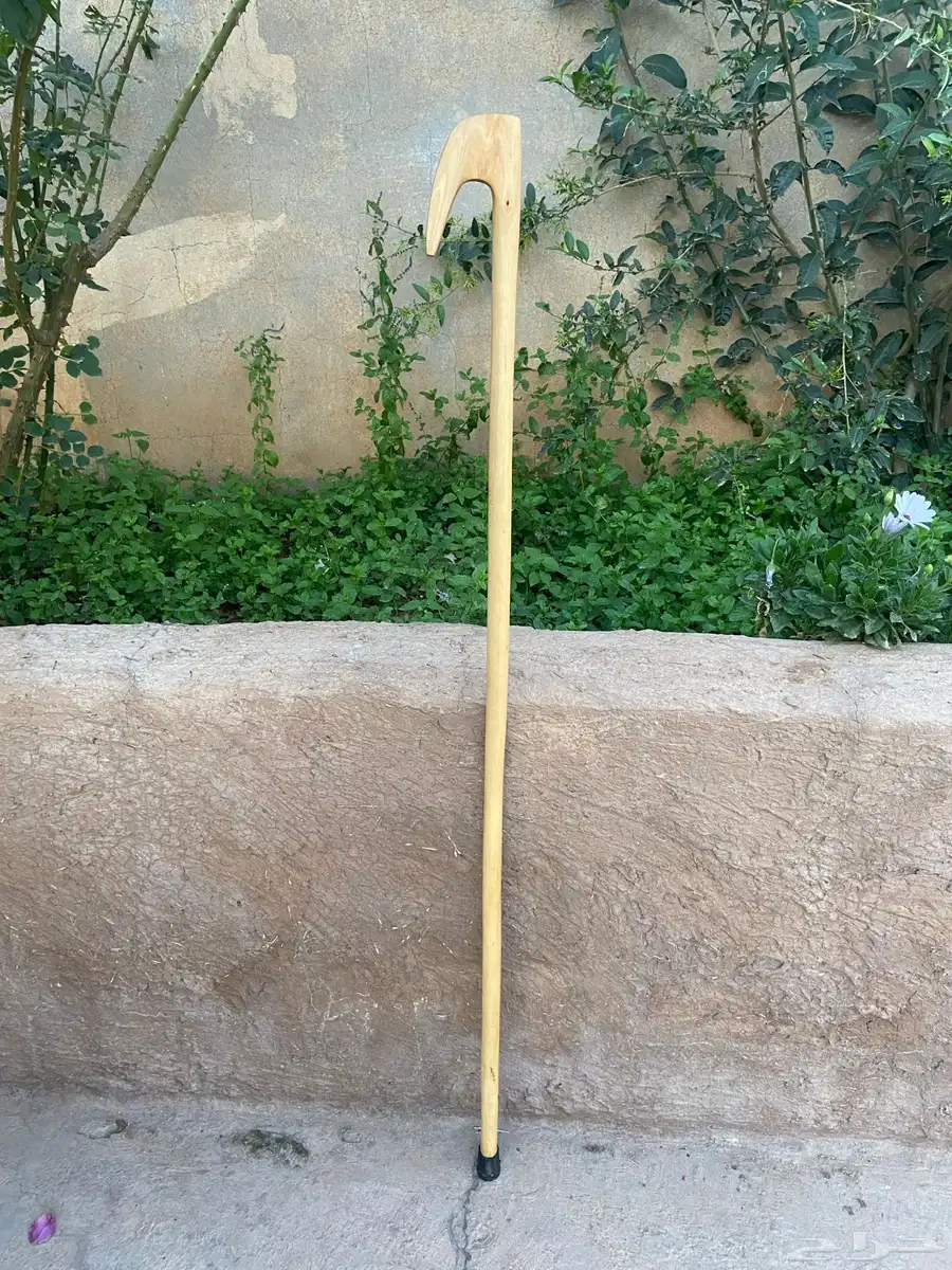 مشعاب نشم 0