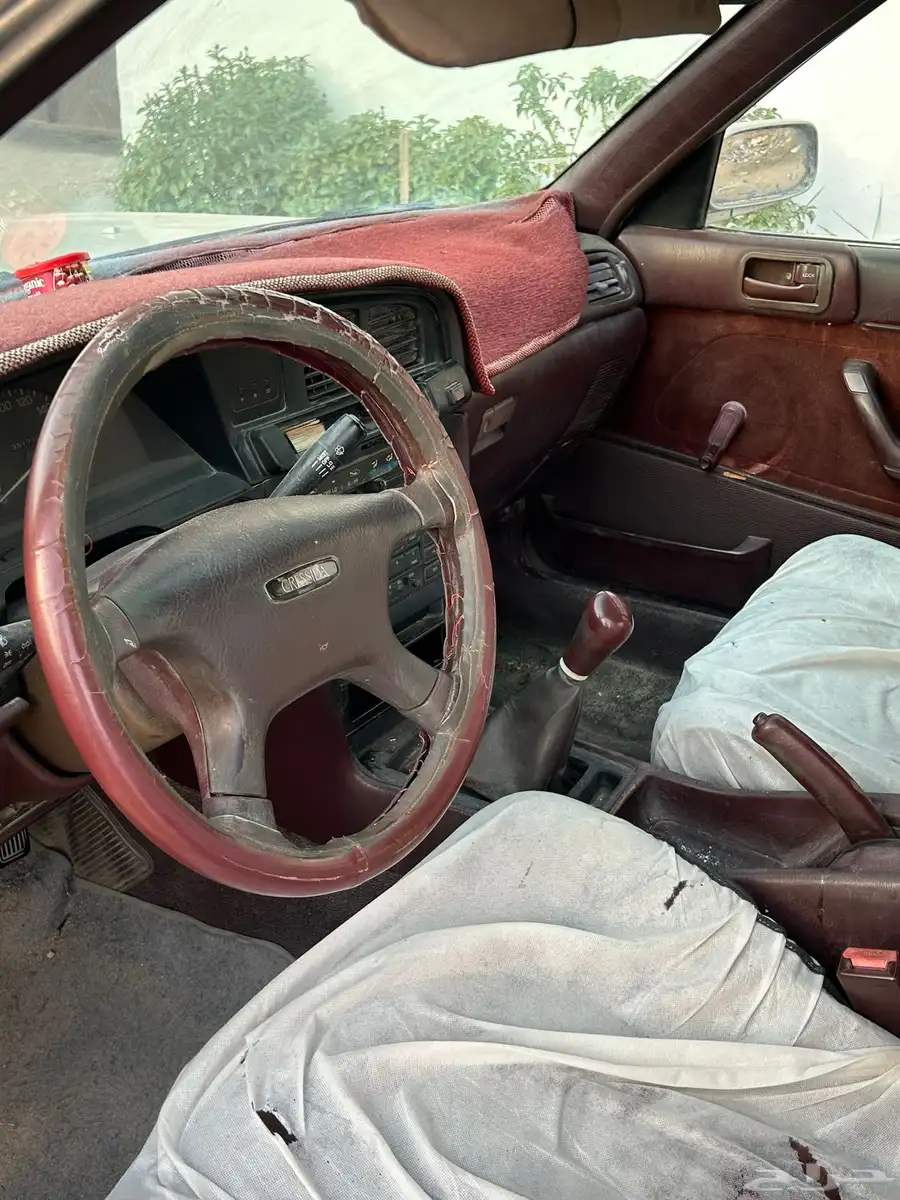 كرسيدا Cressida 4