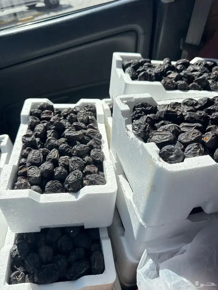 عجوة طيبة ب 30 0