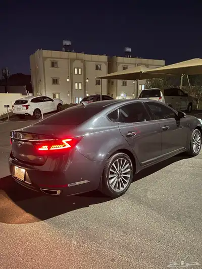 كادنزا 2020 للبيع بودي وكاله على الشرط 1