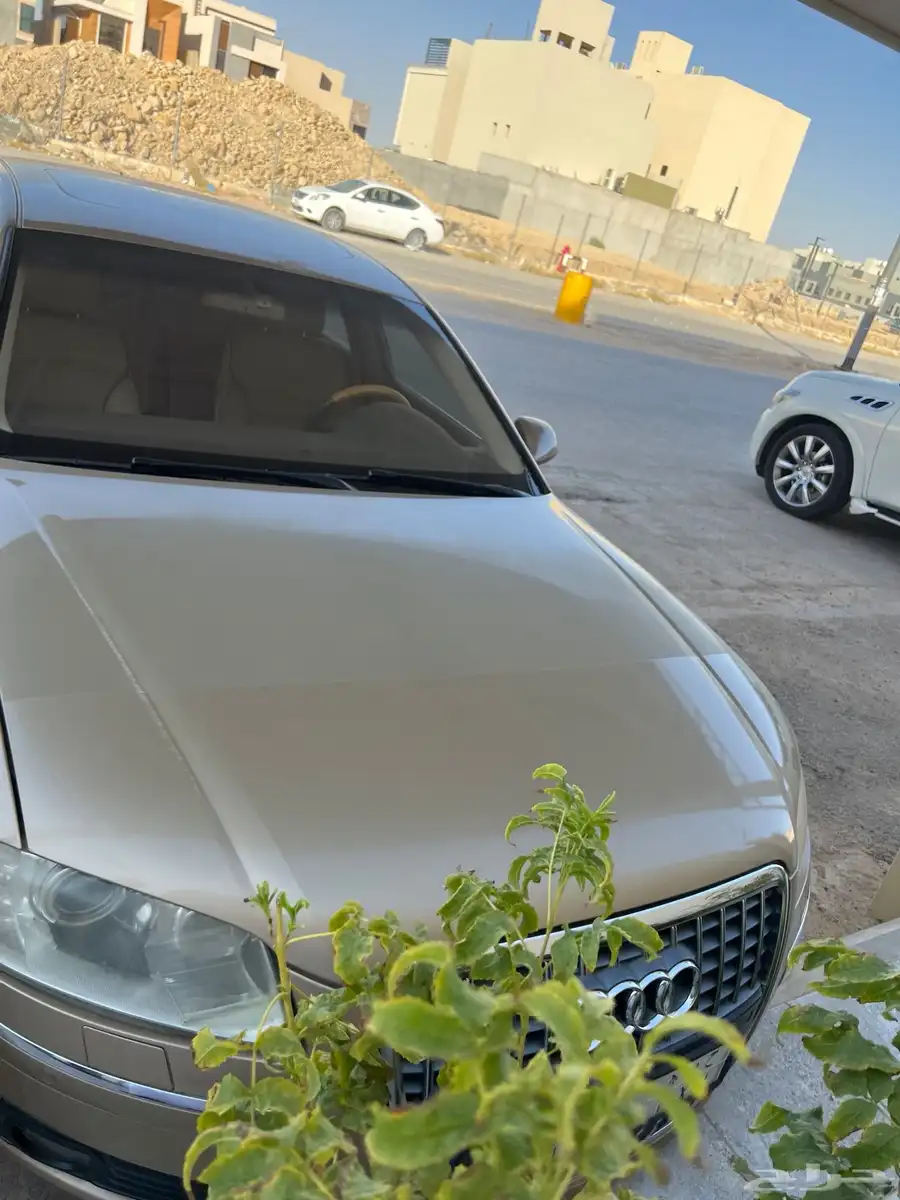 شقراء 0