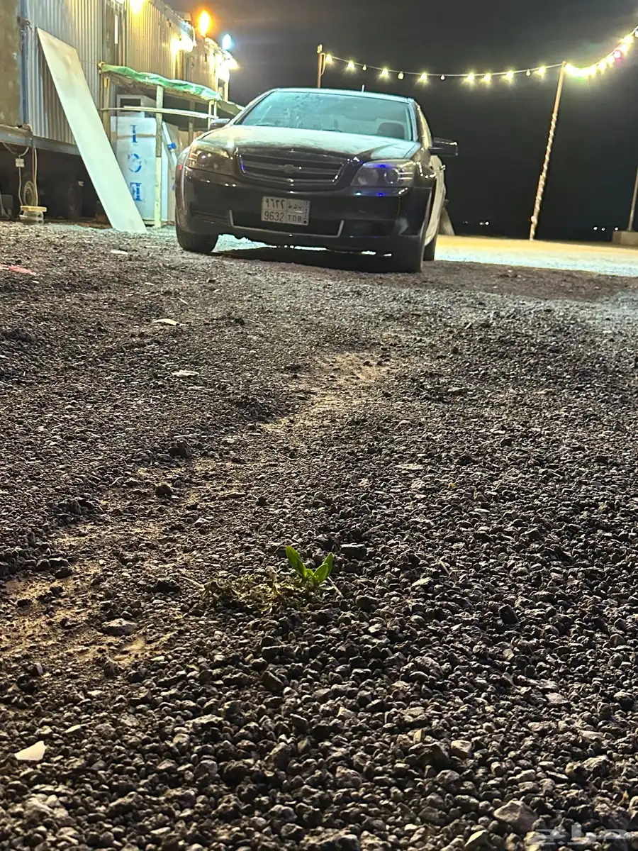 كابرس 2011LTZ 1