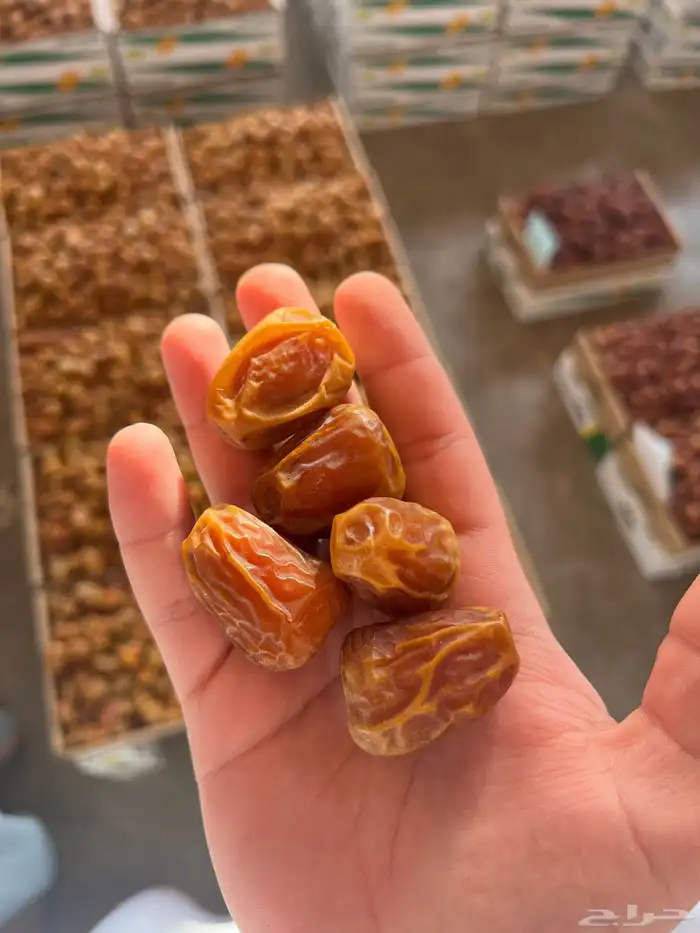 يوجد لدينا تمور بانواعها 2