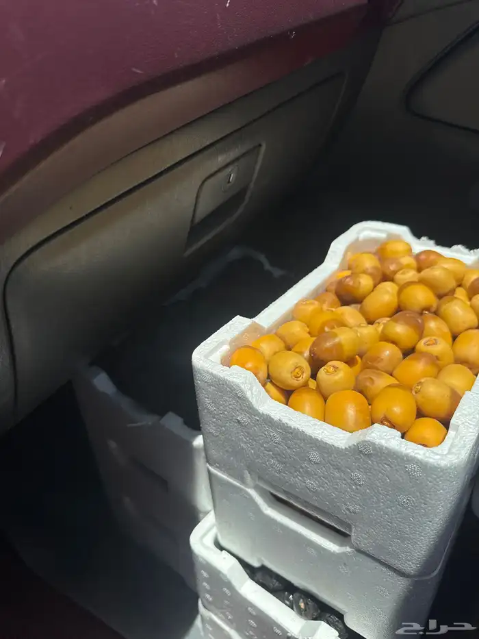 عجوة ورىثانة 0