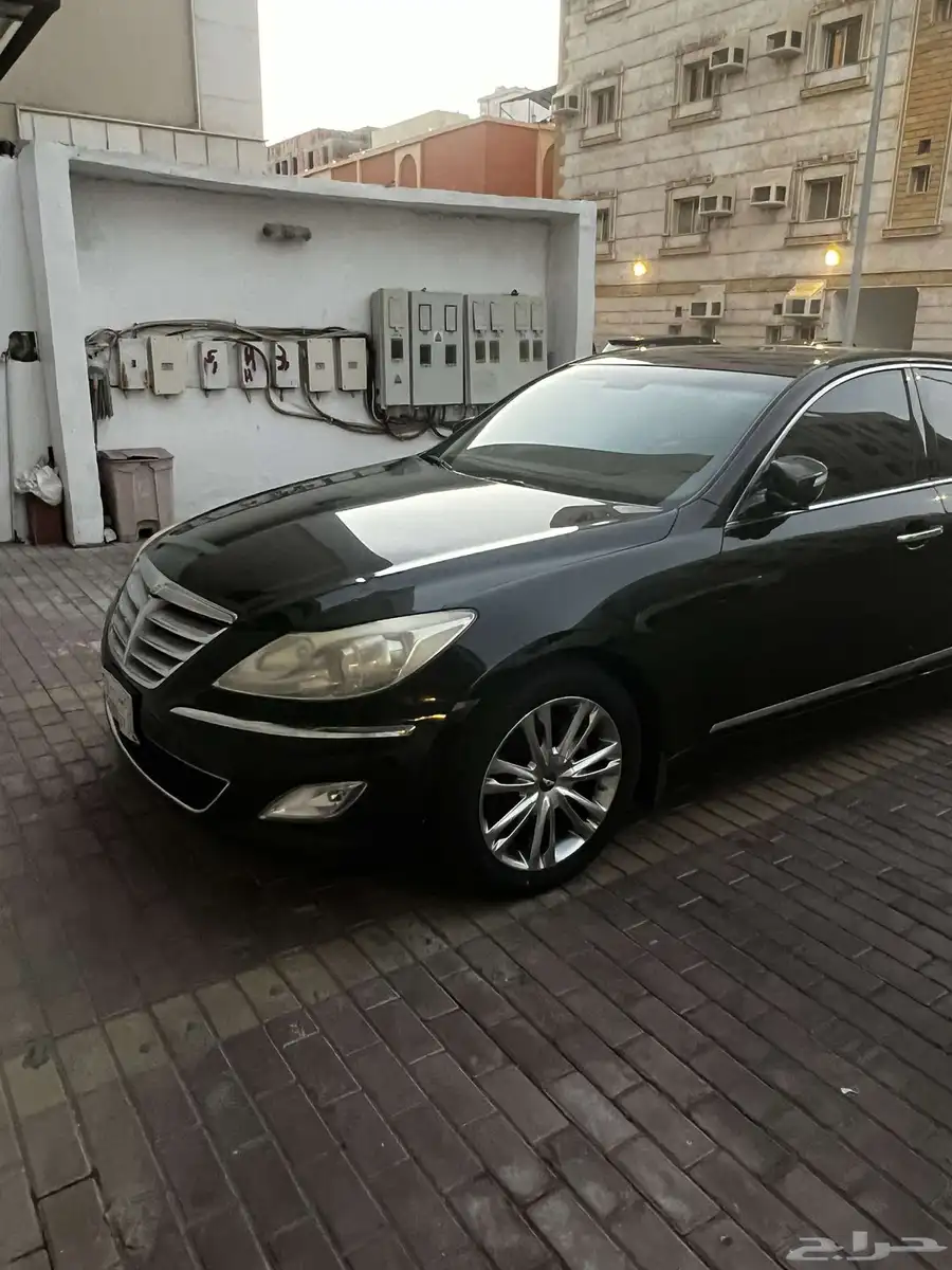 جنسس G80 2014 1
