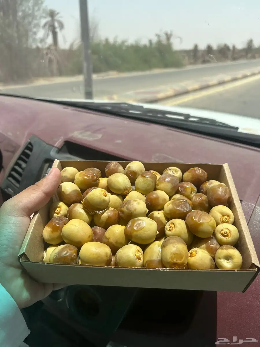 رطب فاخر 0
