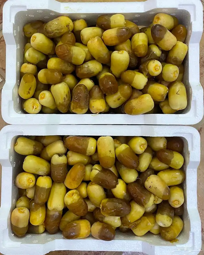 رطب سمنة وخضرية وجليهيم وبرني 0
