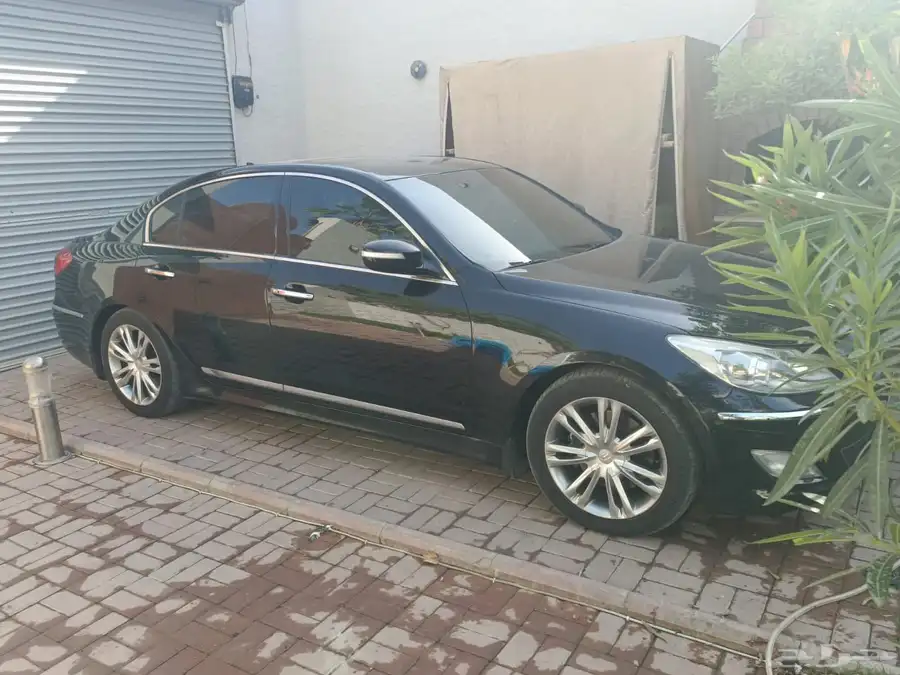 2014 جنسس 0