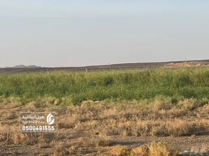 مزرعة للبيع غرب الفوارة 4