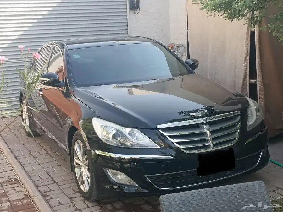 2014 جنسس 1