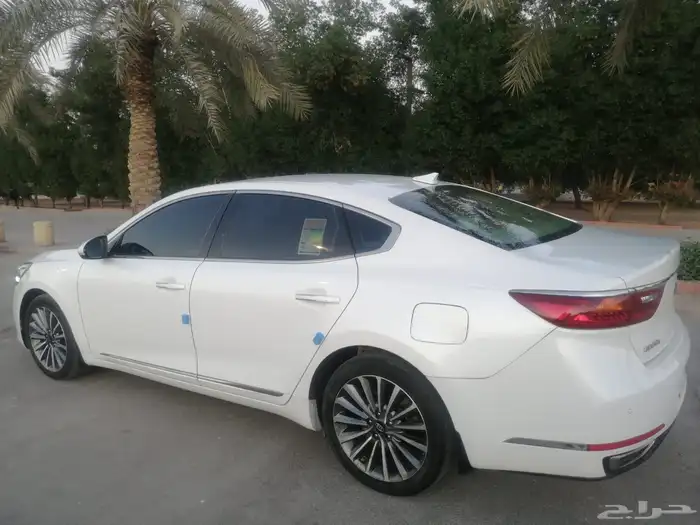 كادينزا 2020 ستاندر 6