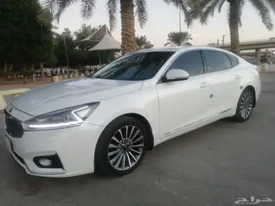 كادينزا 2020 ستاندر 0