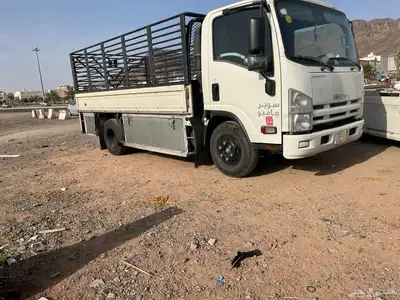 دينه دينا لتوصيل 0