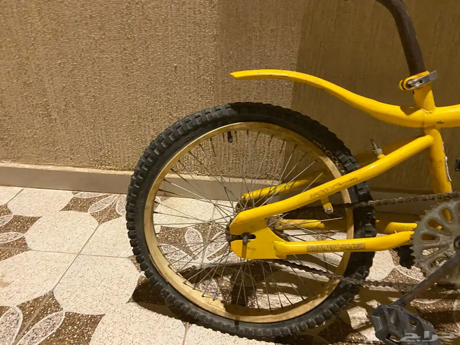 سيكل اخو الجديد اقبل بدل دجاج اوحمام 1