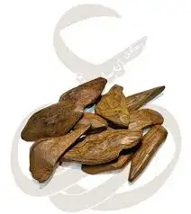 عود مروكي 2