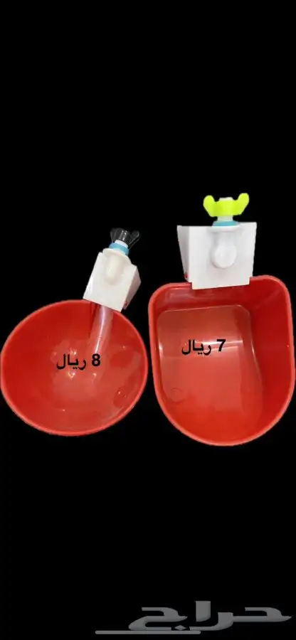 سقايات ومشارب طيور 3