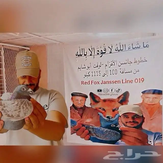 حمام زاجل جانسن السرعه 2