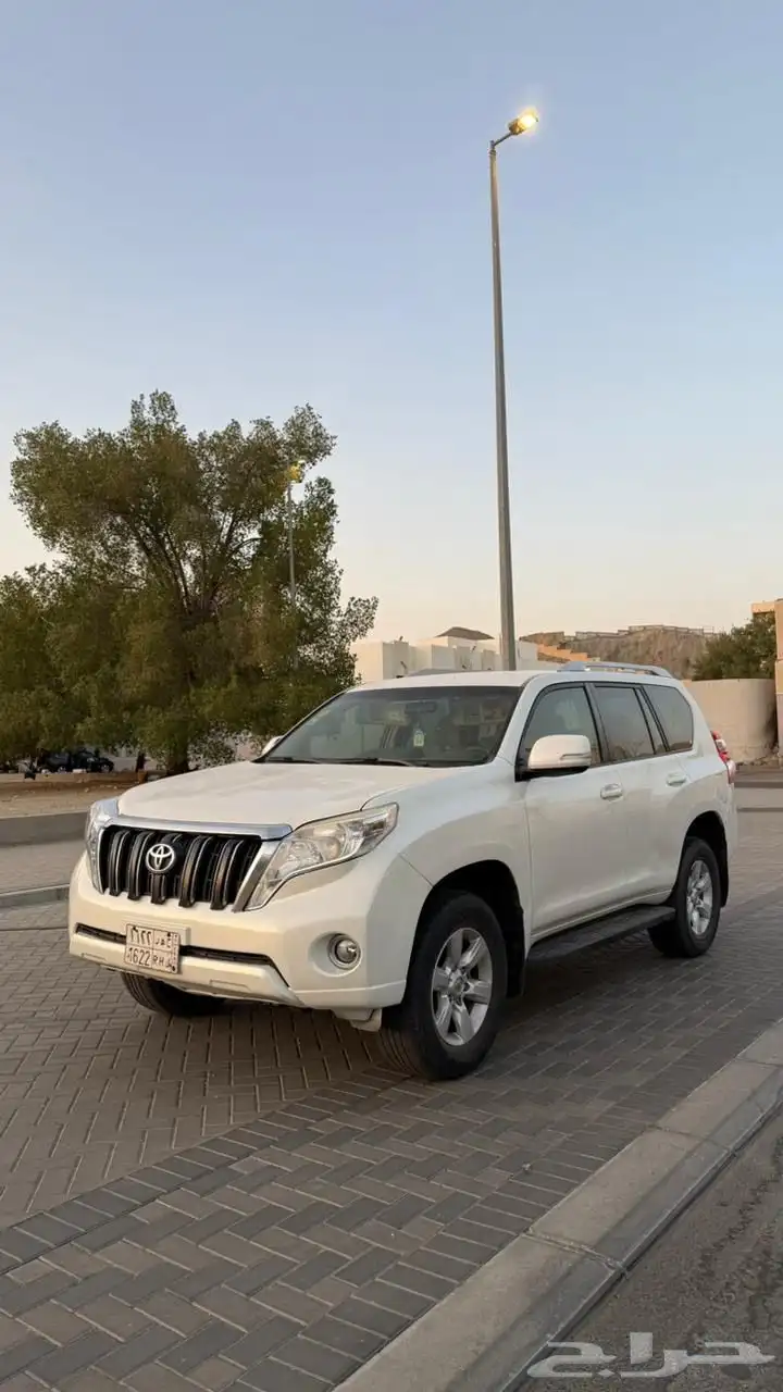 برادو 3