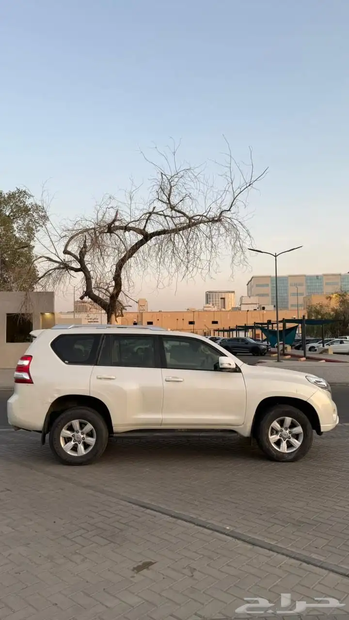 برادو 5