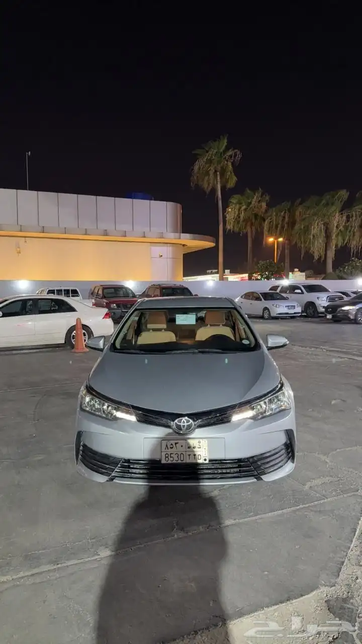 كورولا 2019 1