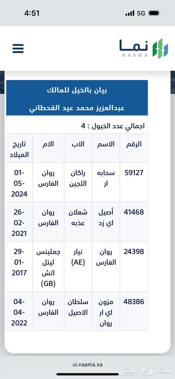 حصان عربي واهو 0