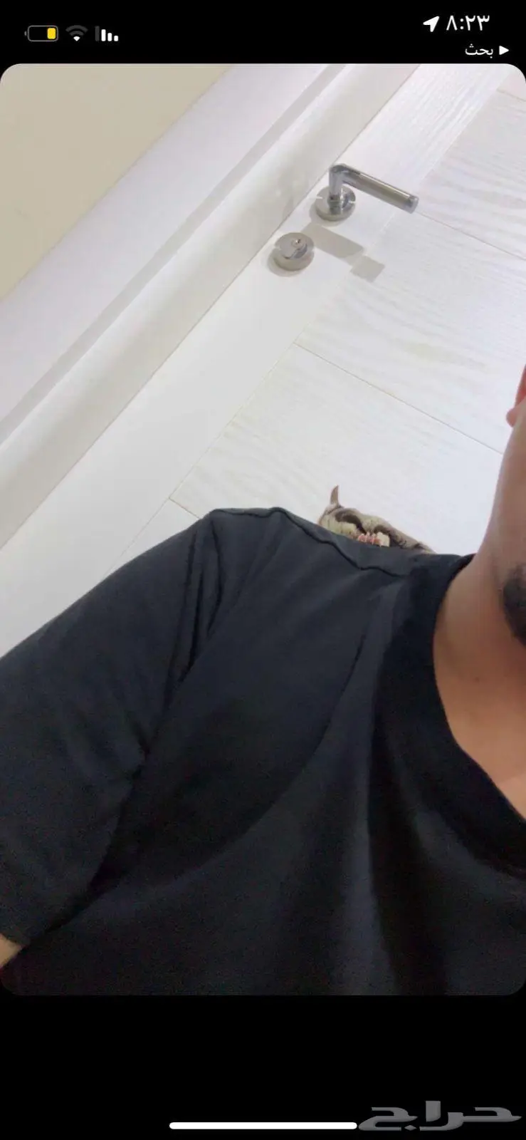 سنجاب شوقر قلايدر 3