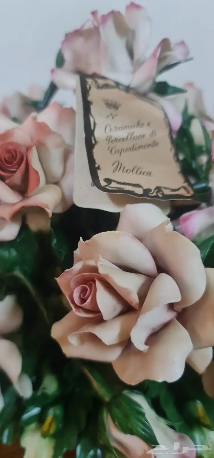 مزهرية 5