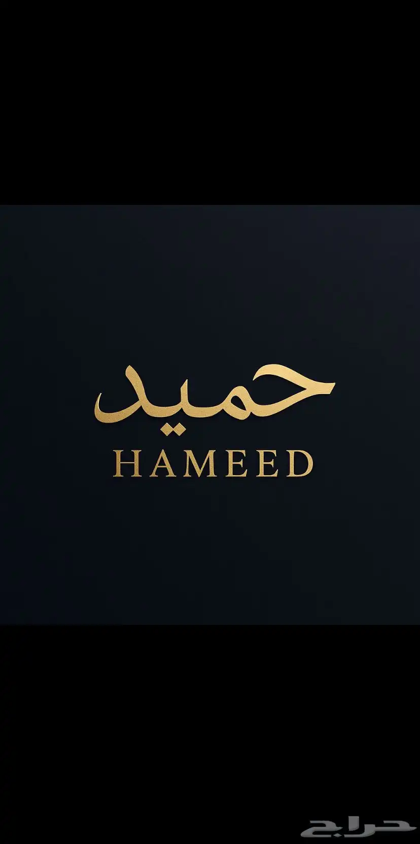 مصمم لوجو احترافي 0