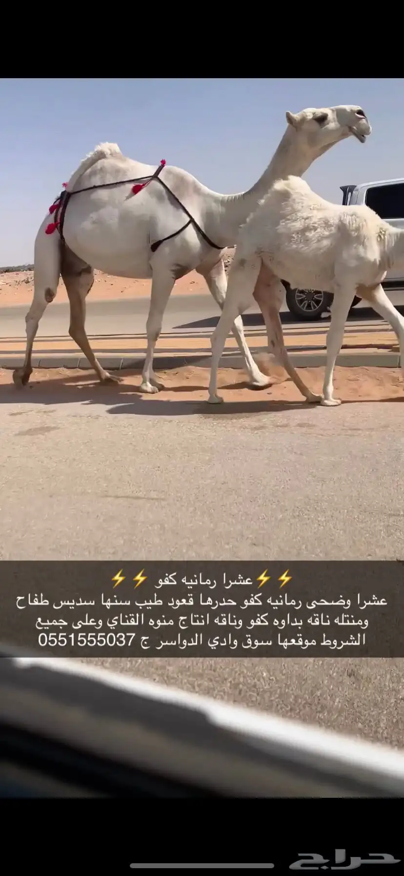 عشرا كفو منتج 2
