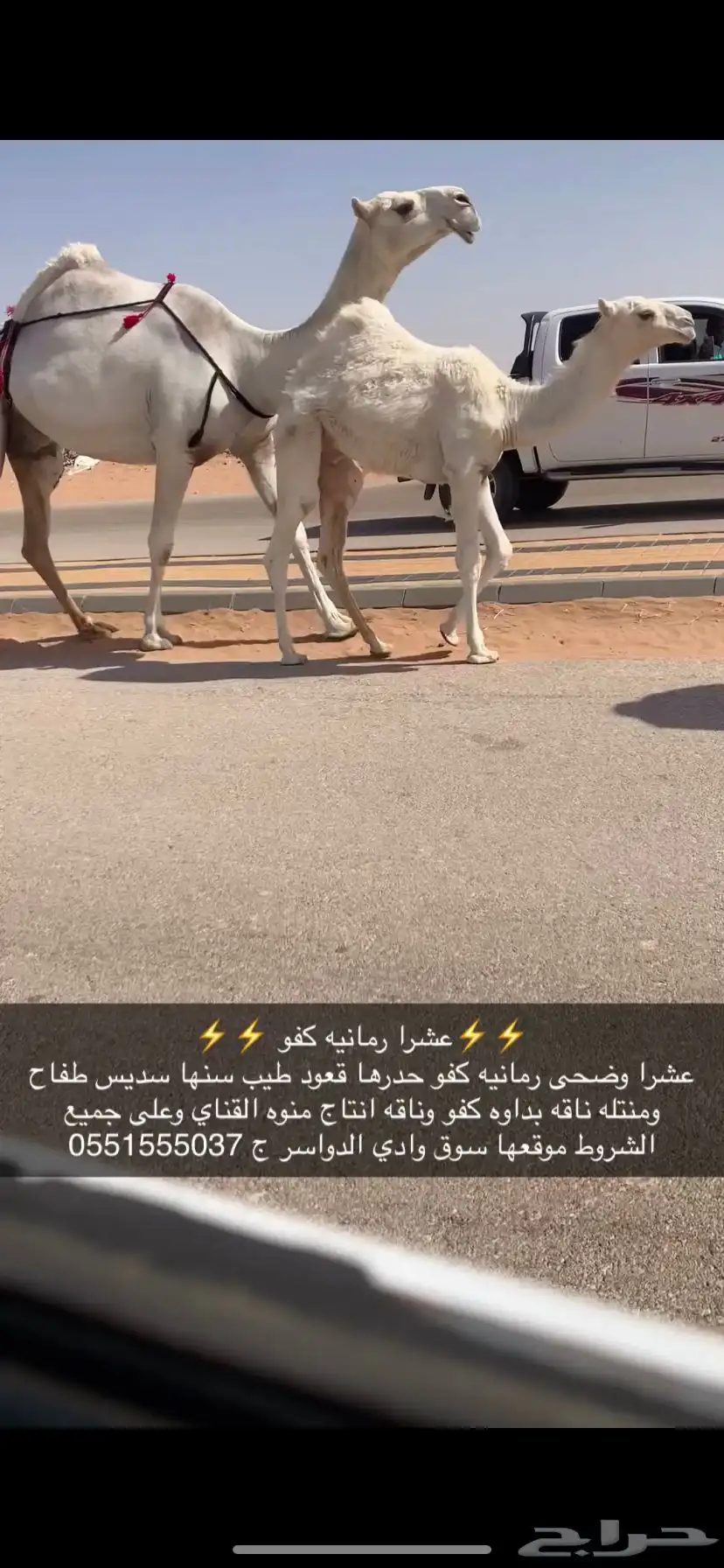 عشرا كفو منتج 0