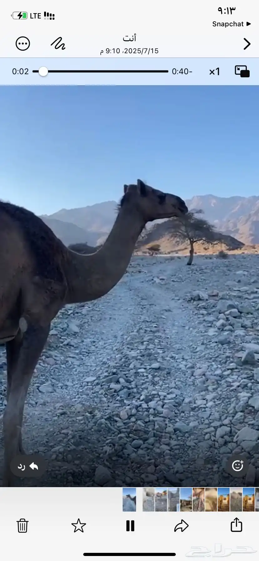 خلفه حمرا تحتها رابعها قعود مجموع ب الحليب واديب 0