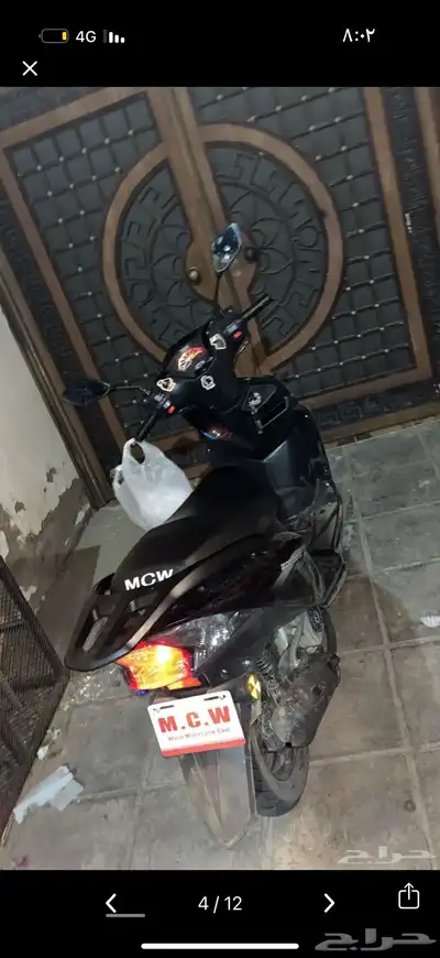 عجيب 2025 8