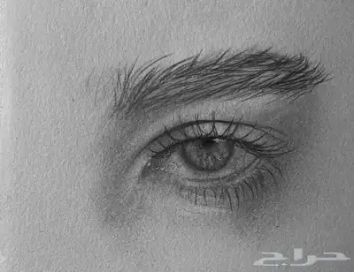 استقبل طلبات الرسم الشخصيه 2