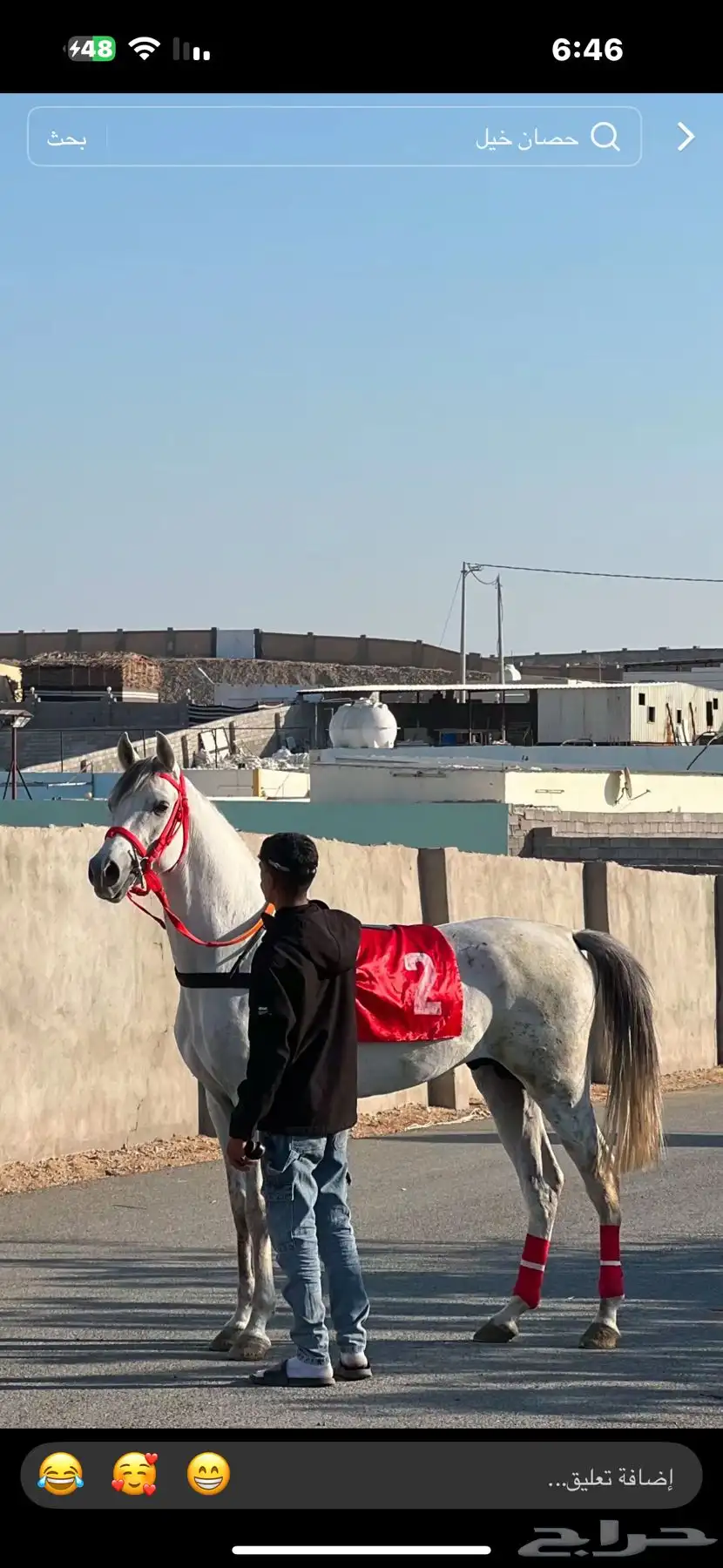 حصان شعبي سرعه 1