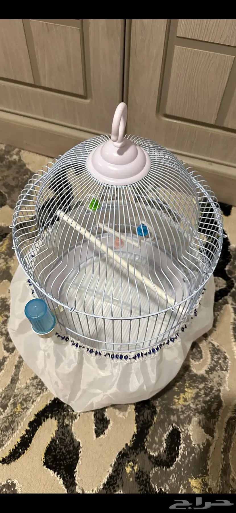 قفص 0