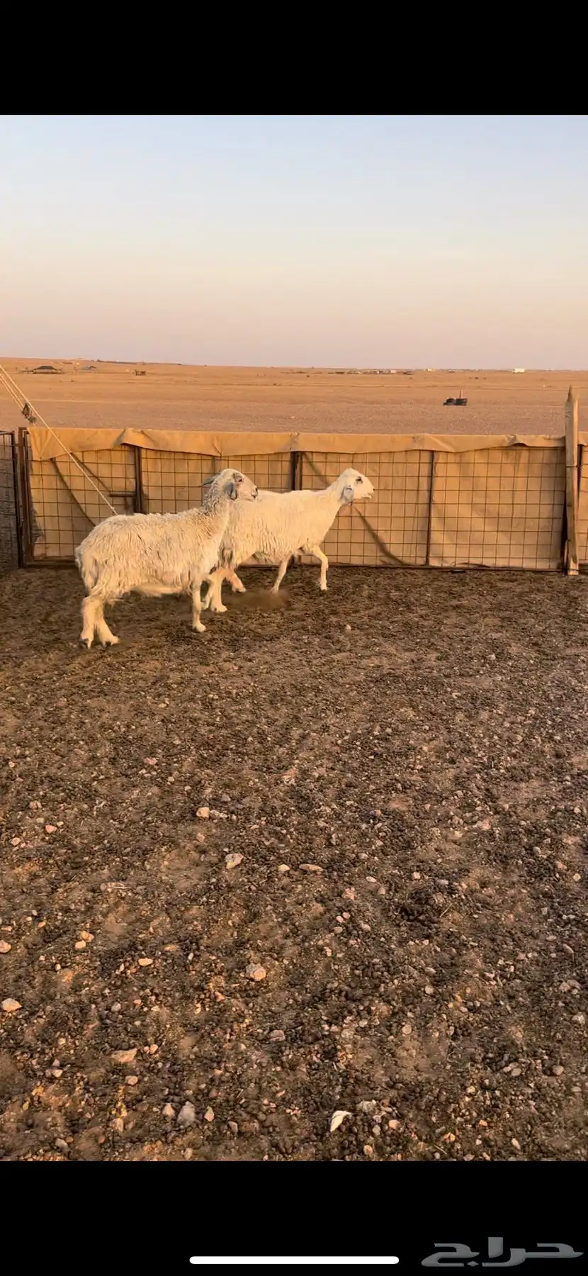 حريات 0