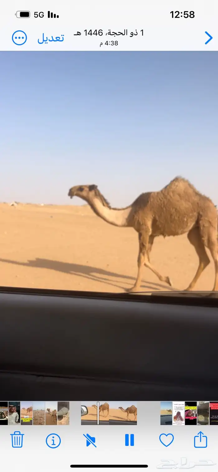 بكره   عليانيه 0