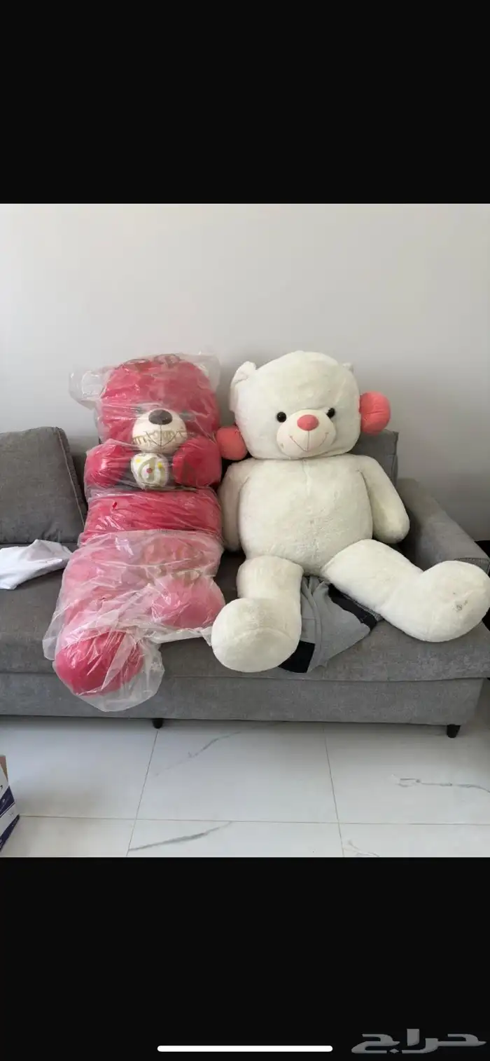 دبدوب او دباديب للبيع 0