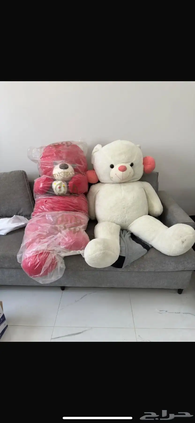 دبدوب او دباديب للبيع 0