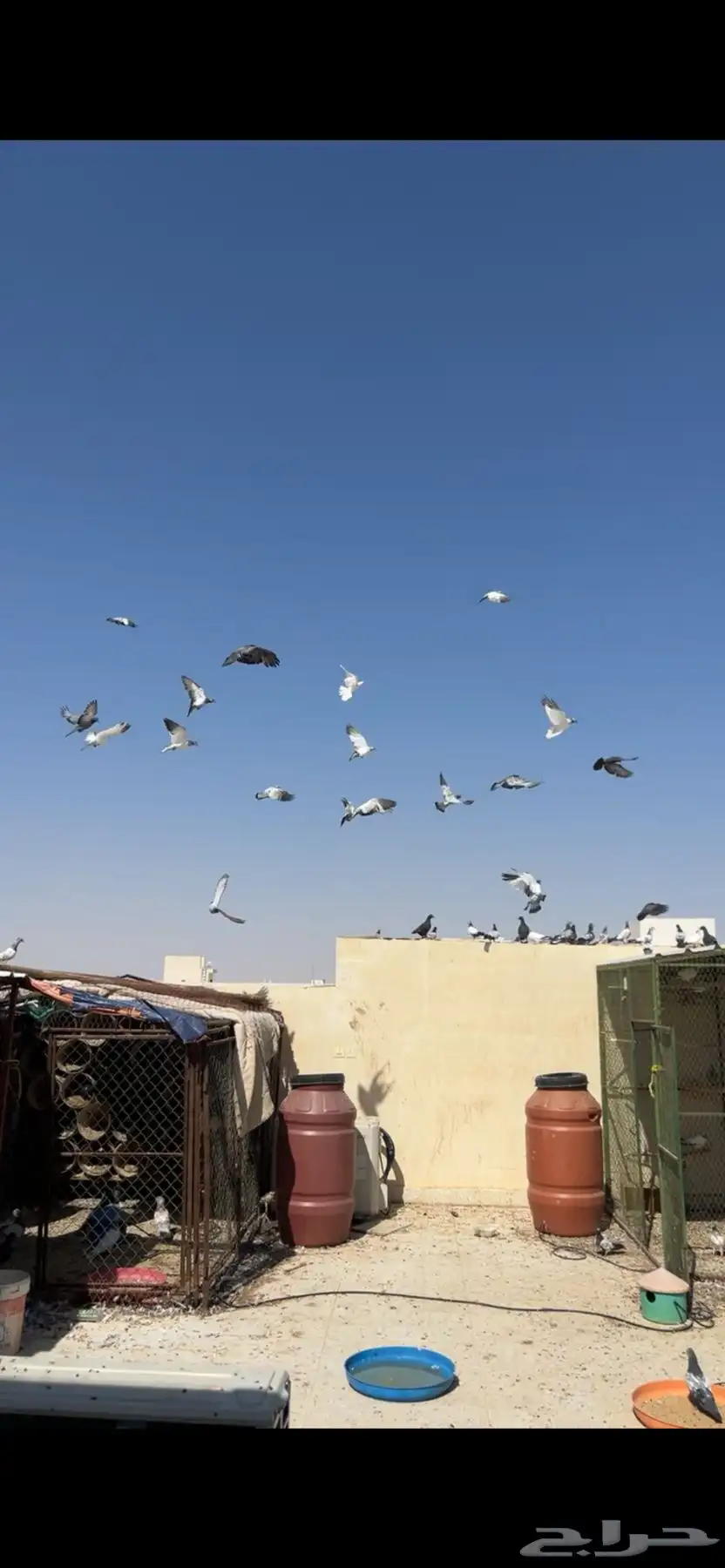 طبات بكستاني 2