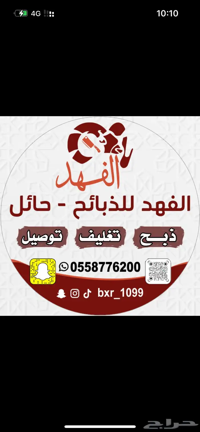 ذبائح الفهد   حايل 11