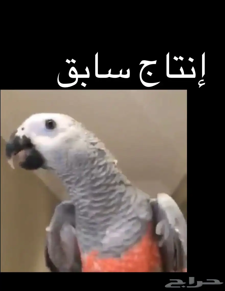 جوز كاسكو منتج 2
