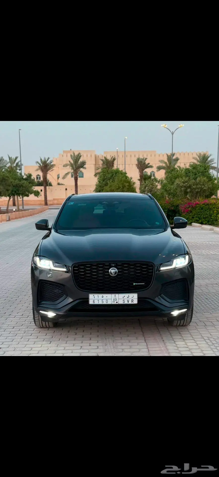 جاكوار ( بلاك أديشن ) وكالة 15