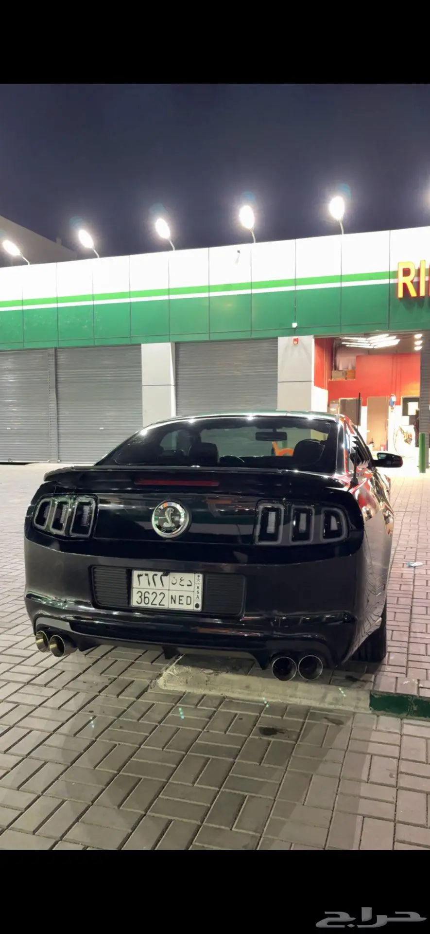 موستنج 2010 4